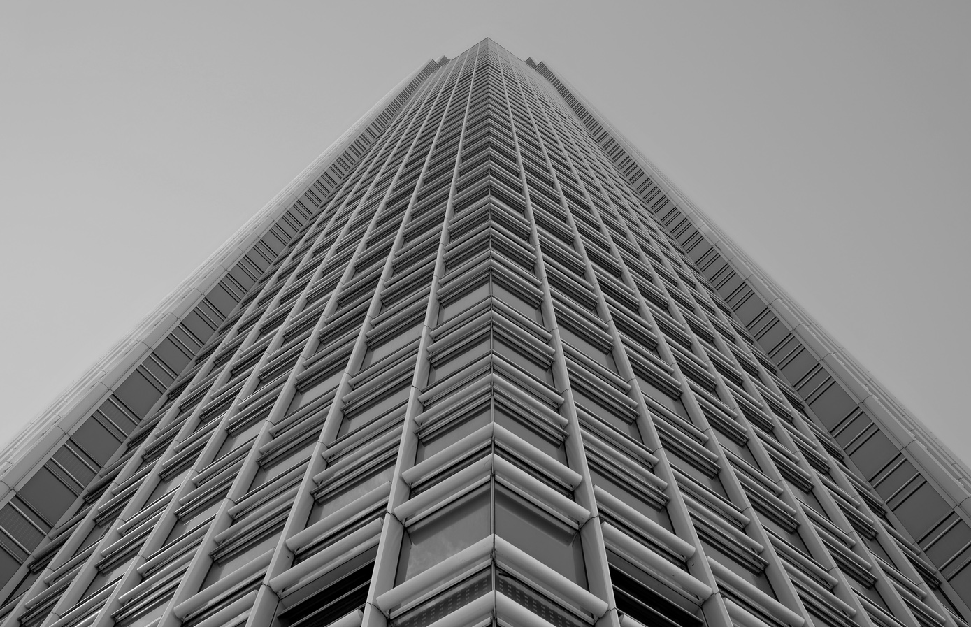 the pyramid