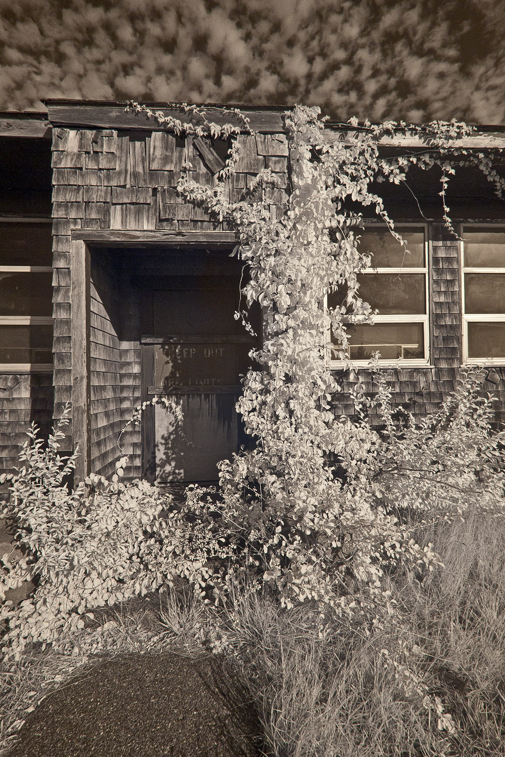 Truro_1030181.jpg