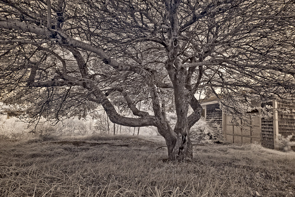 Truro_1030332.jpg