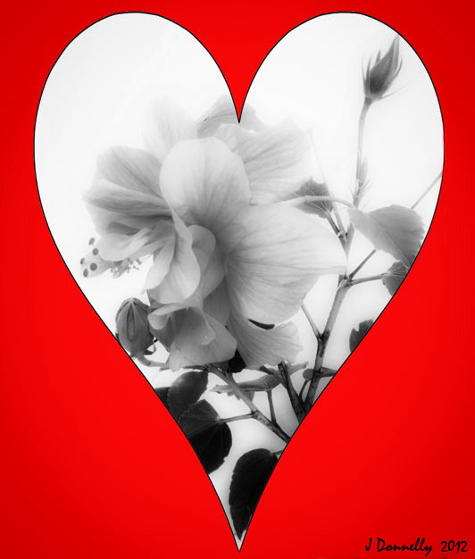 #10 Affairs of the Heart