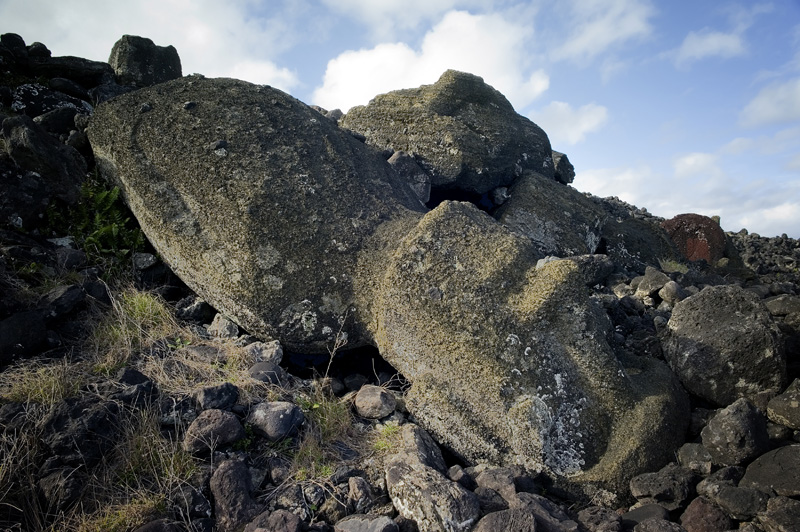Fallen moai.