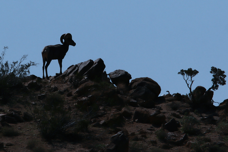 On the Ridge