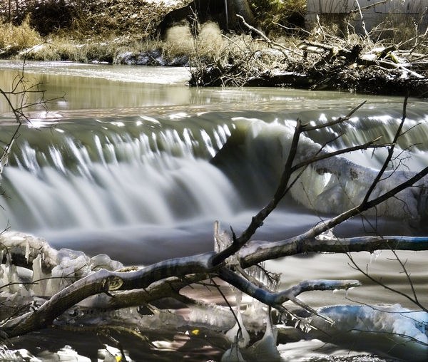 water life