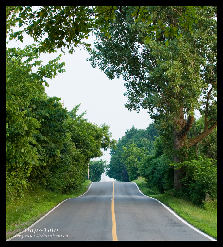 The Road to my Home
