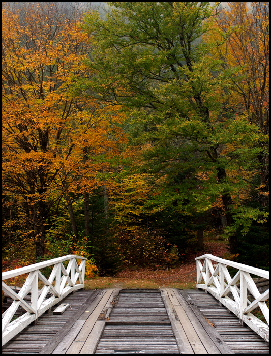 Dont stay alone.. cross the Bridge !