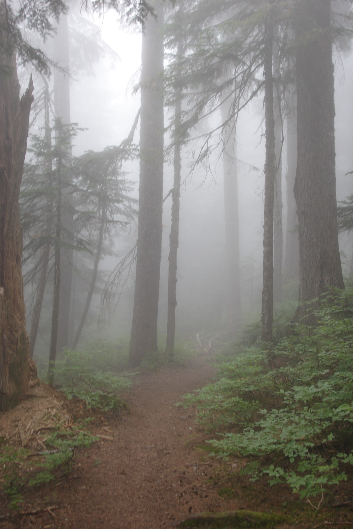 _MG_3856.JPG