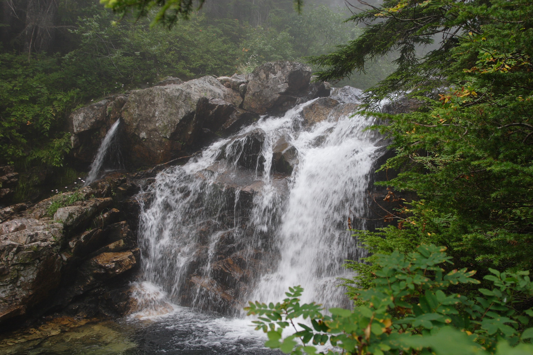 _MG_3861.JPG
