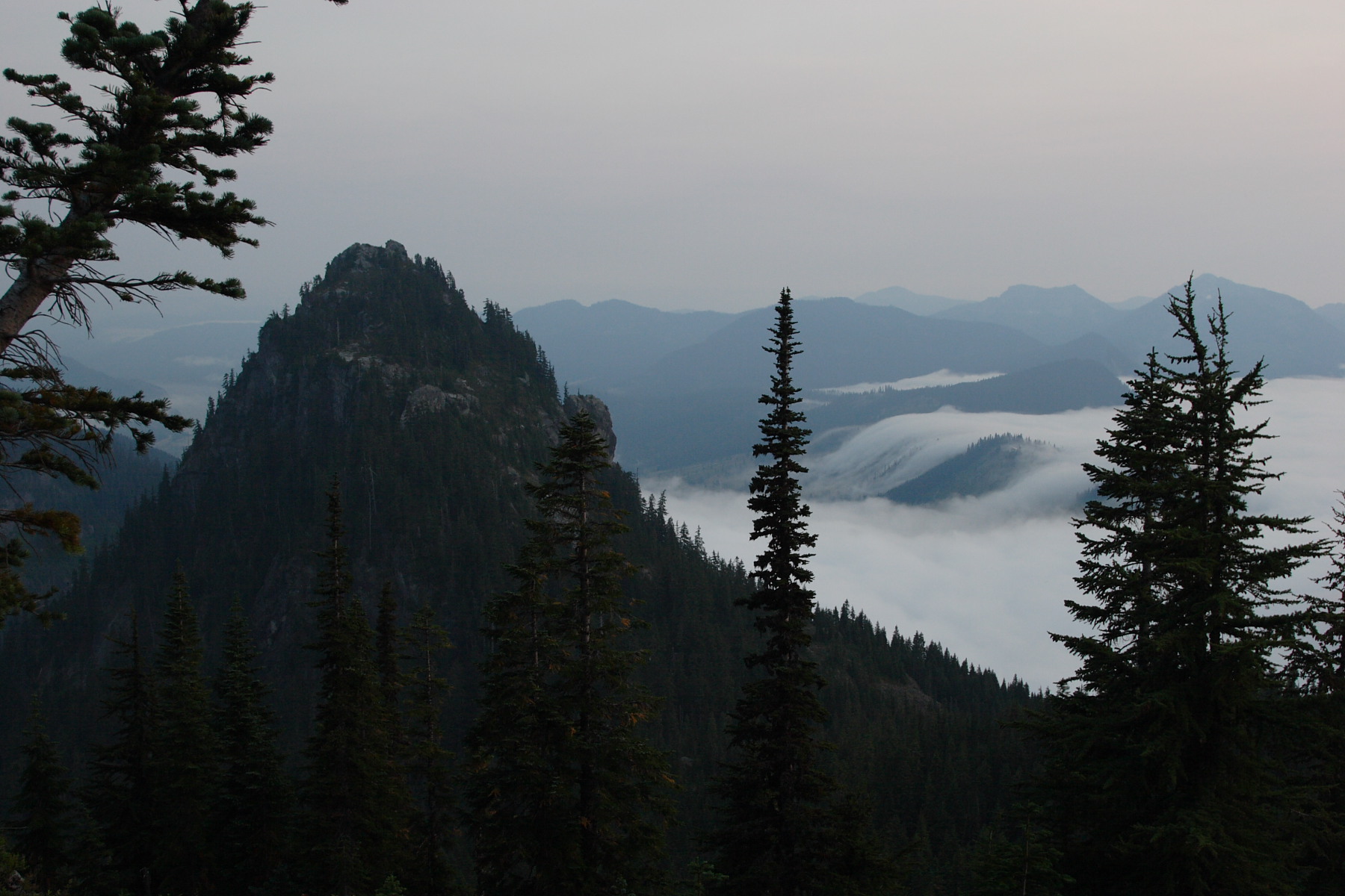 _MG_3979.JPG