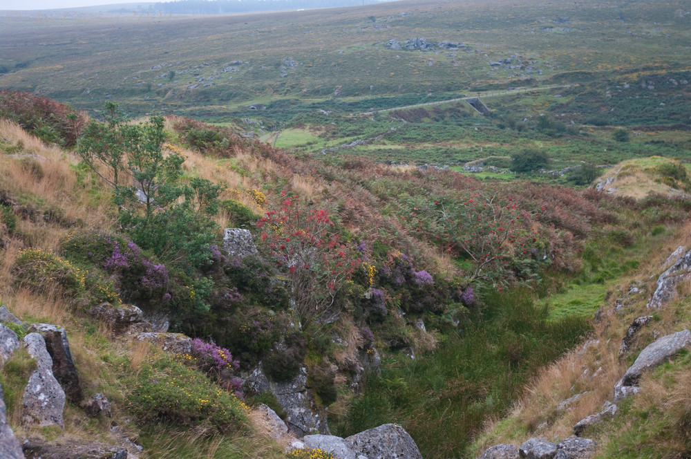 A tiny sheltered valley