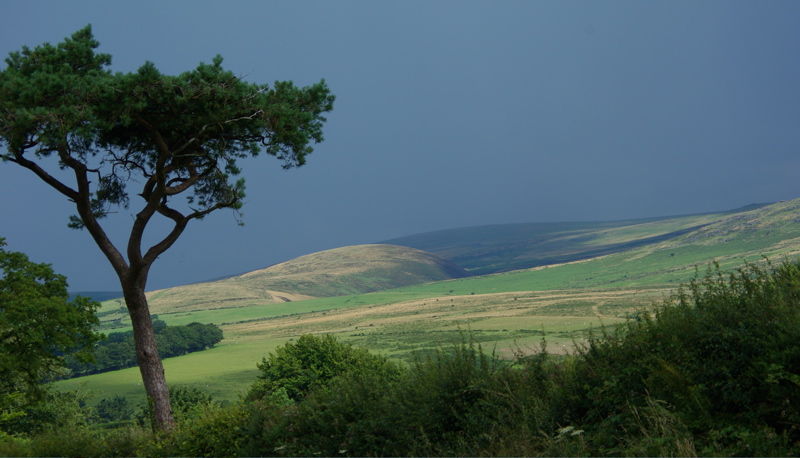 Dartmoor