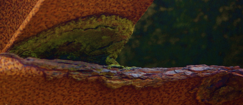 Rust