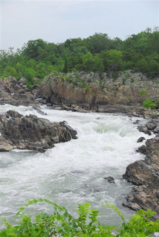 Potomac River.JPG