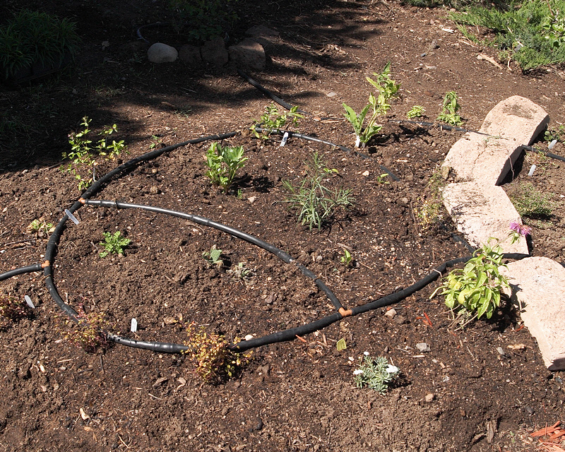 New Herb Garden-A (2588)