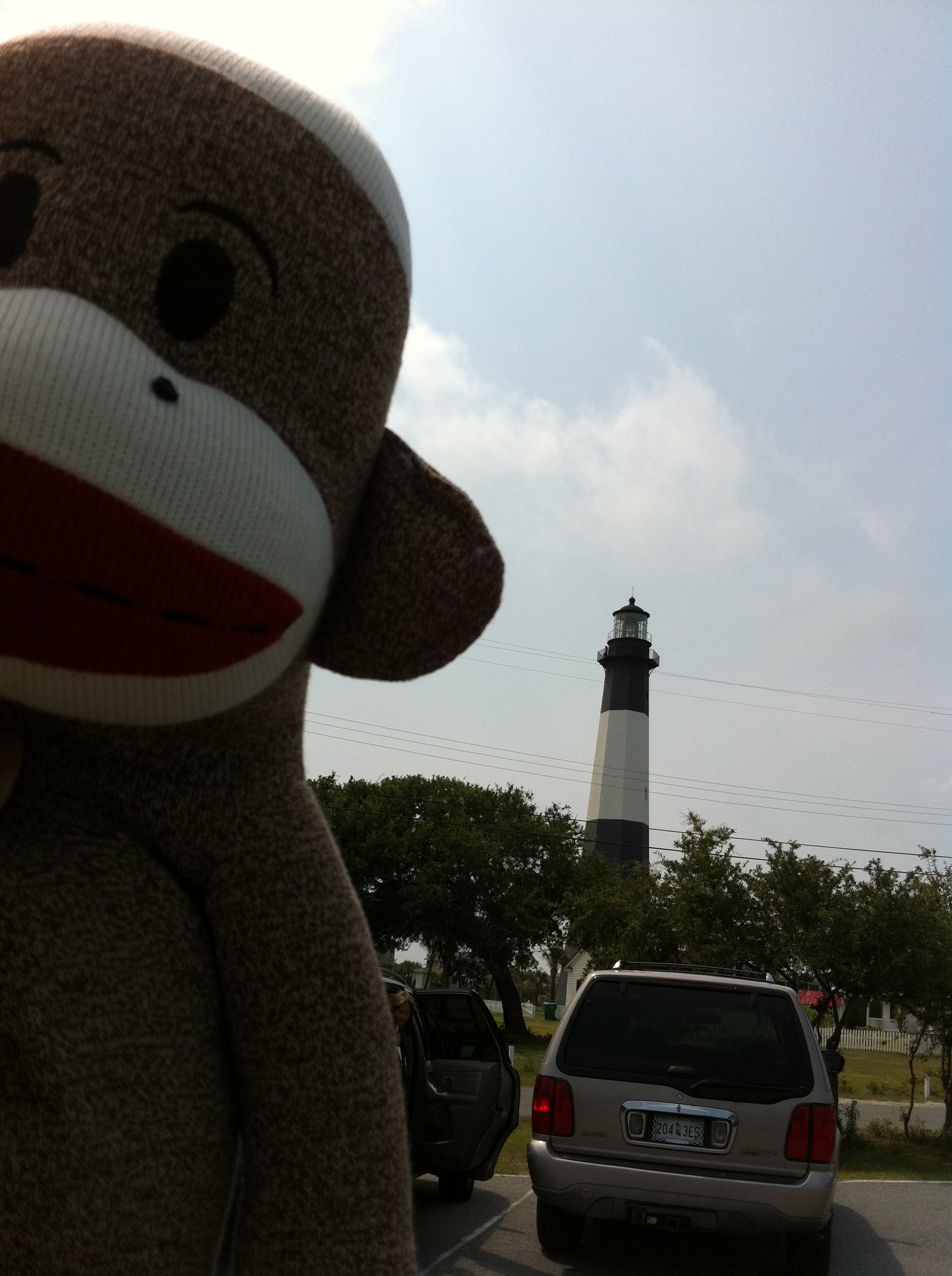 Sock In Savannah