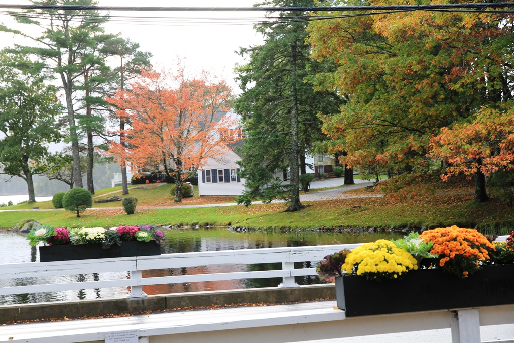 foliage maine54.jpg