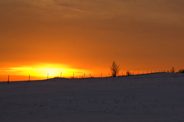 Fence Line