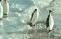 o6/64/303264/1/72695066.TG0Ev3R9.webimagesmoviesknockout.gif
