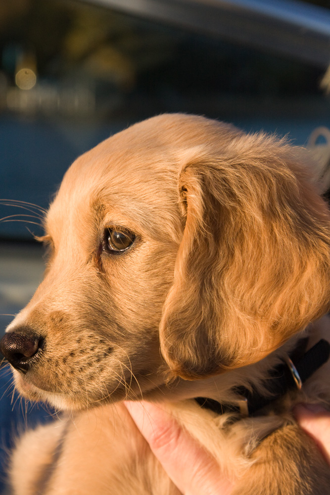 Georgies first boat ride