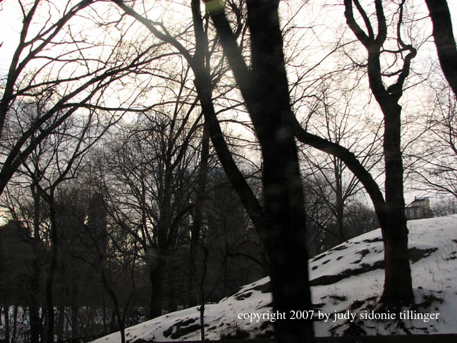 2.18.07 central park