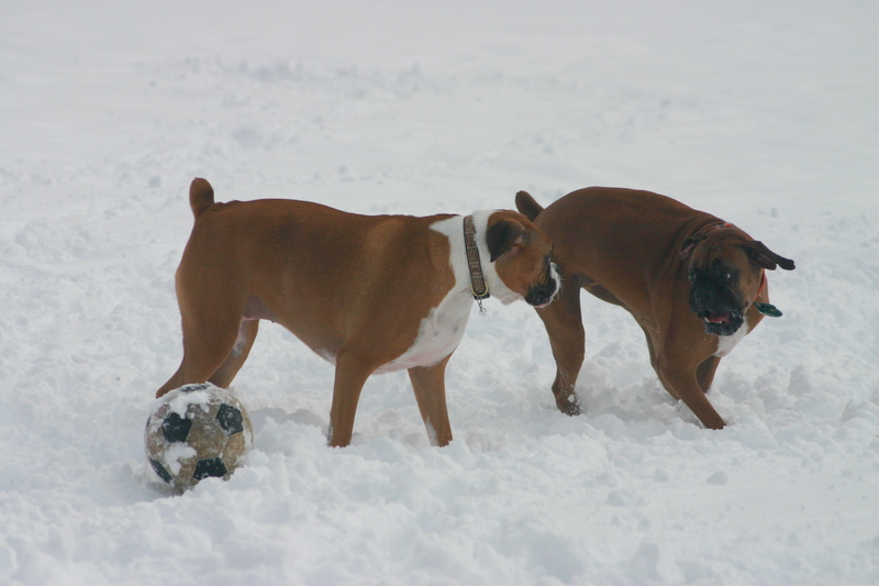 Soccer tale