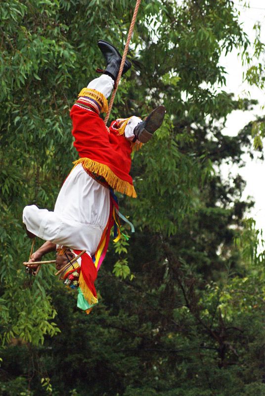 Volare