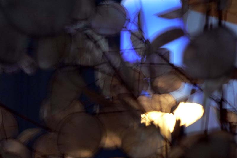 03.03.2007