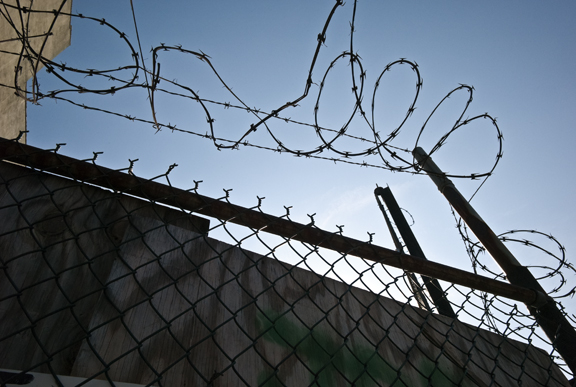 Barb Wire 4313