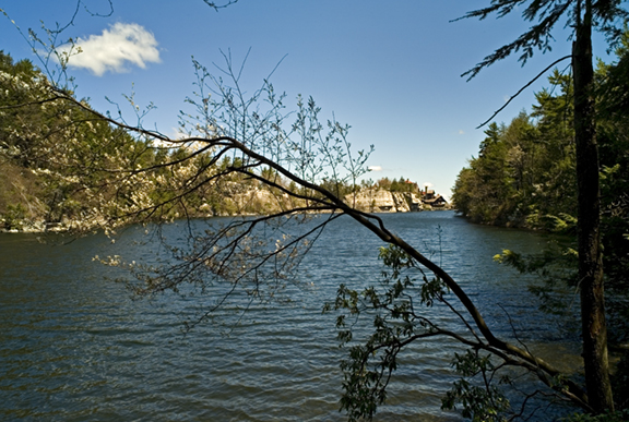 L1001919
