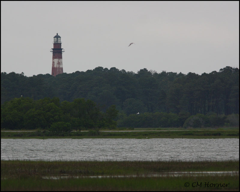 2487 Assateague Lighthouse.jpg