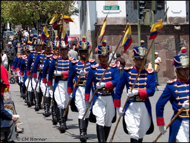 8562 Colonial Guard