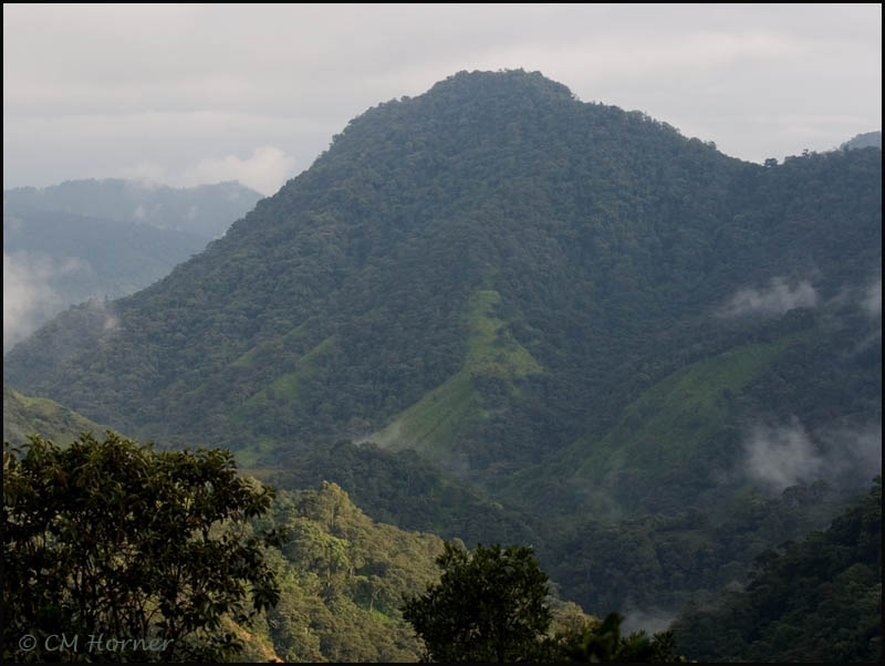 8665 Mountains