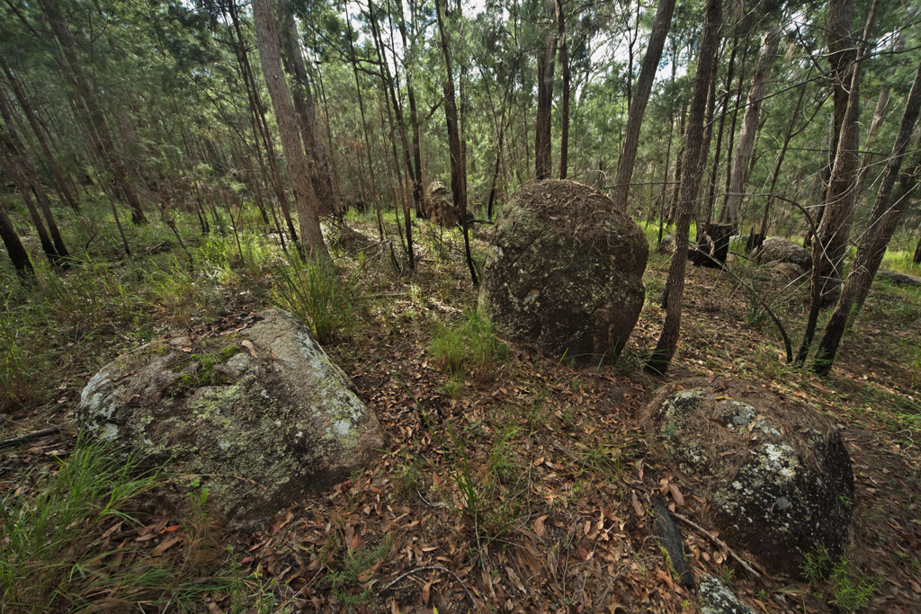 Granite boulders in  Casuarina  forest  IMG_1001