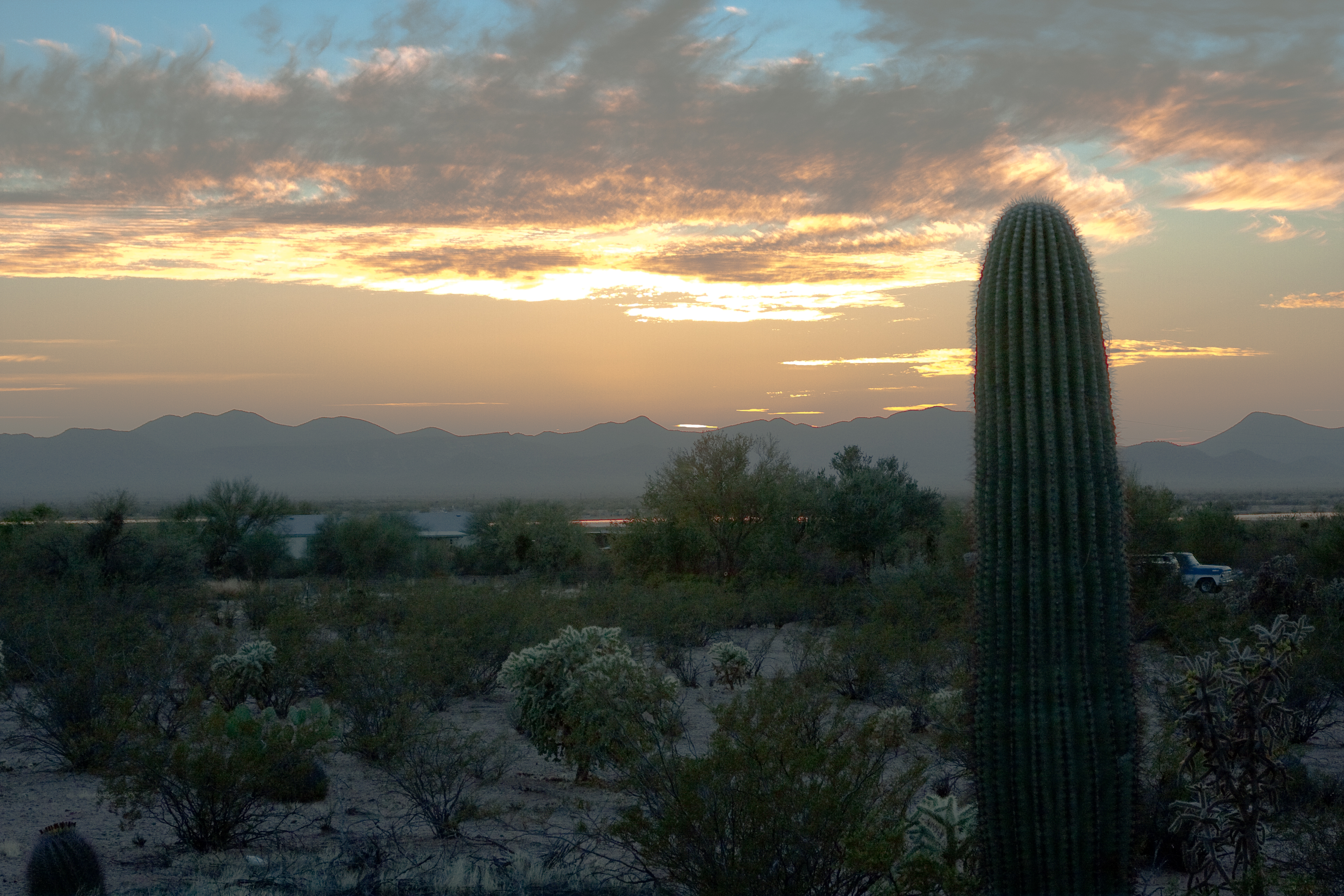 Sunset At Hobies