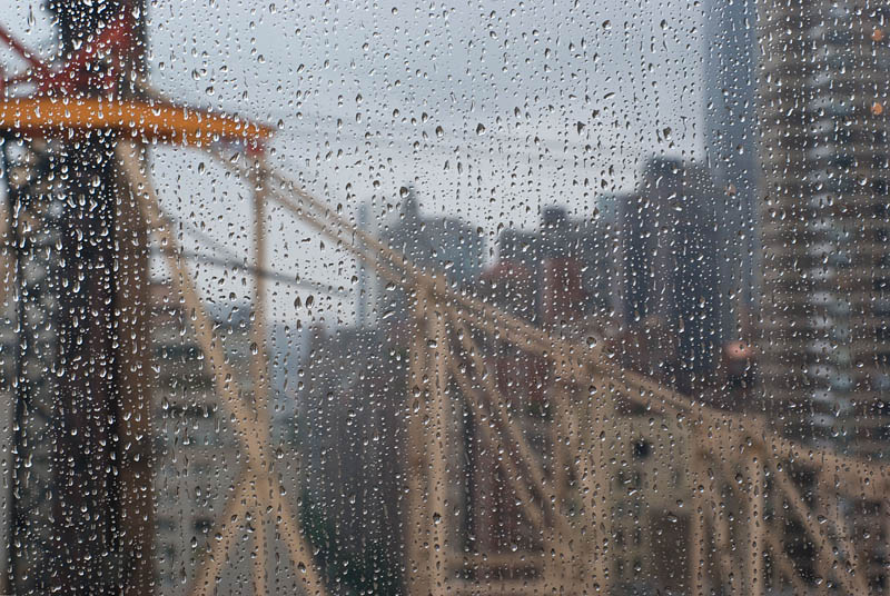 Rainy Day