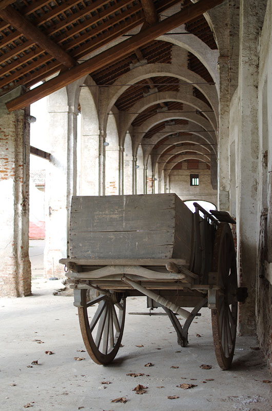 Cart