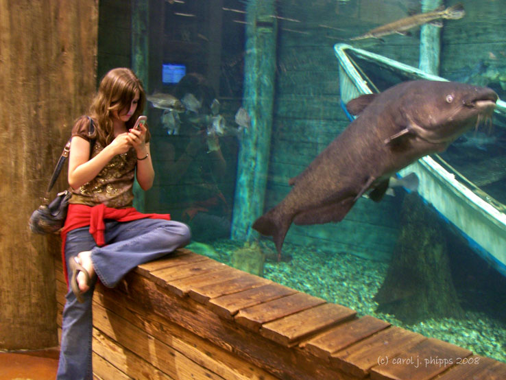 BassPro Prize ~ a 3-foot Catfish!