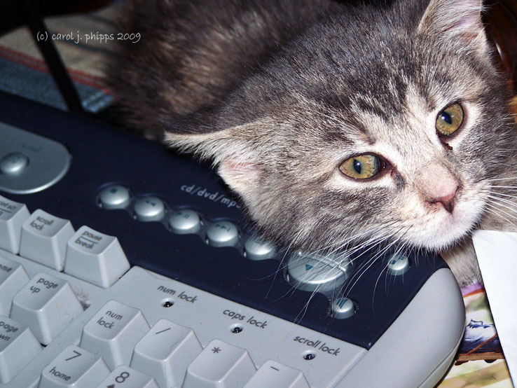 Cat and Mouse Act.