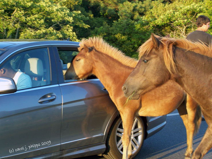 Can I have a lift?