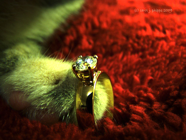 Shine on You Crazy Diamond.
