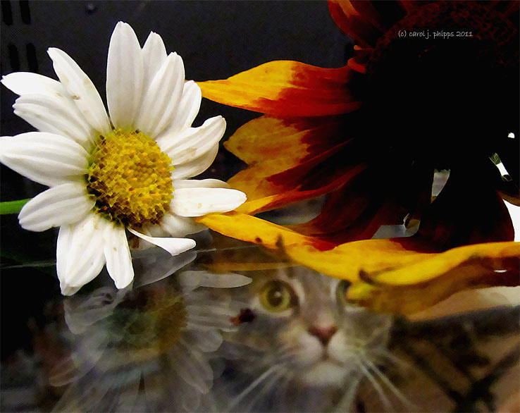 Reflective # 3