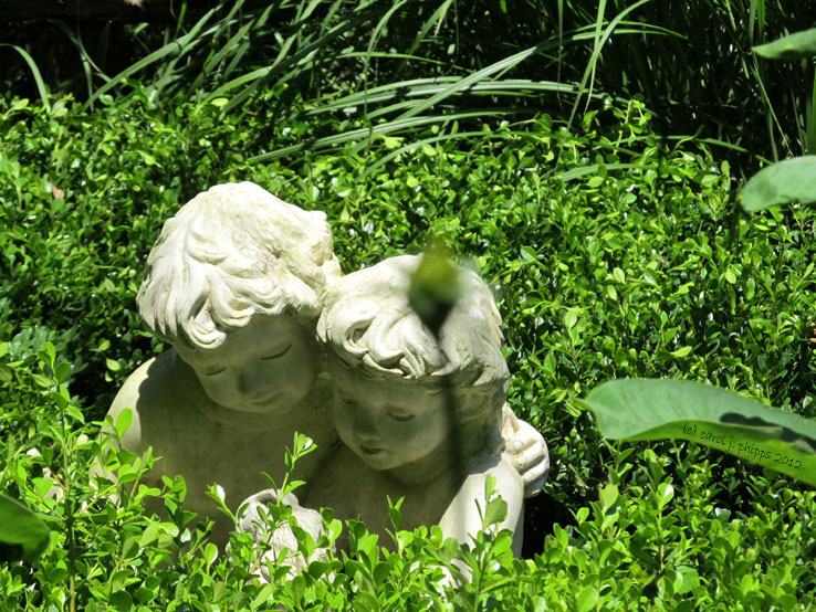 Stream Cliff Nursery