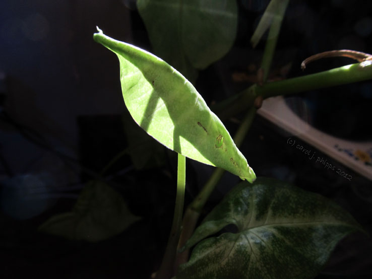 In the Spotlight!