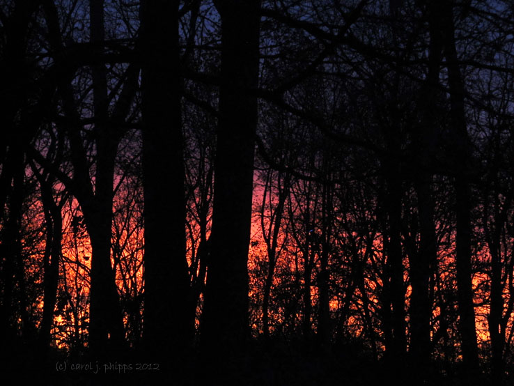 Fiery Fall Sunset