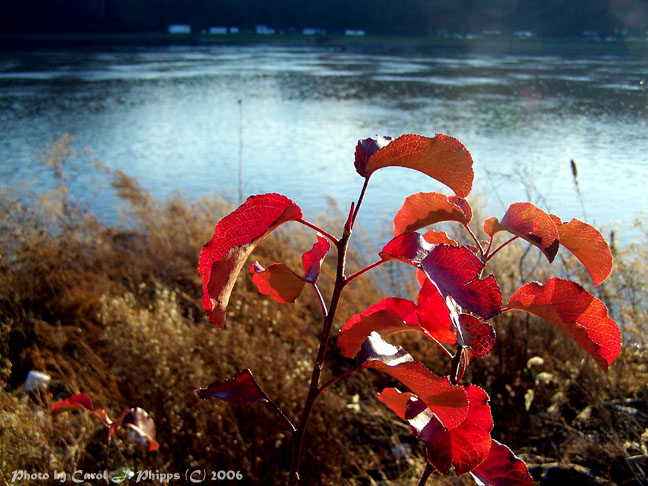 Rivers Edge.