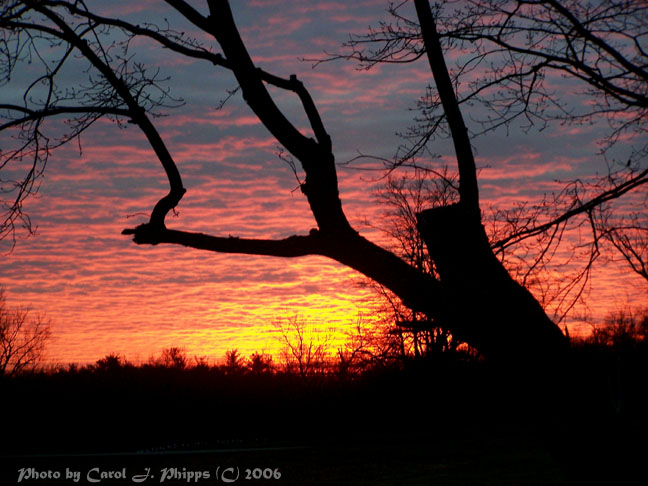 Leaning into another Sunset.