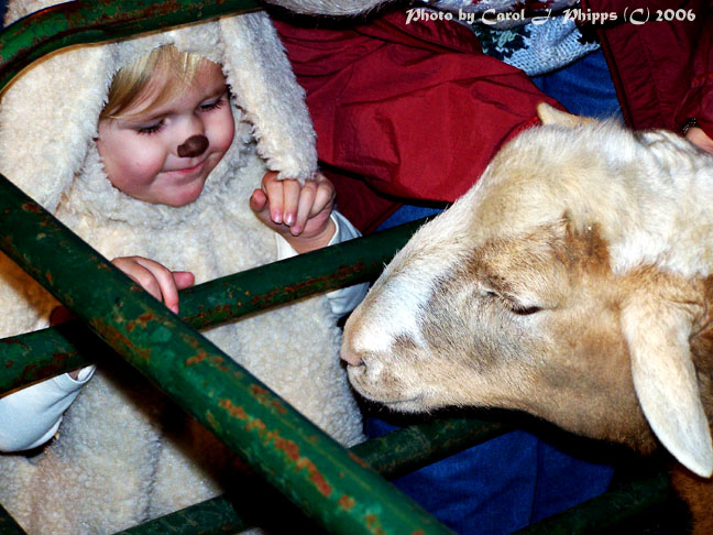 Live Nativity.
