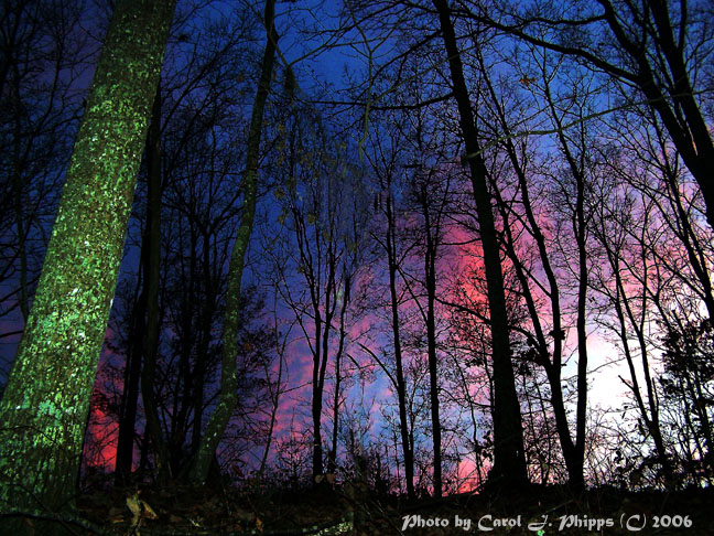 Mystical Viewpoint !