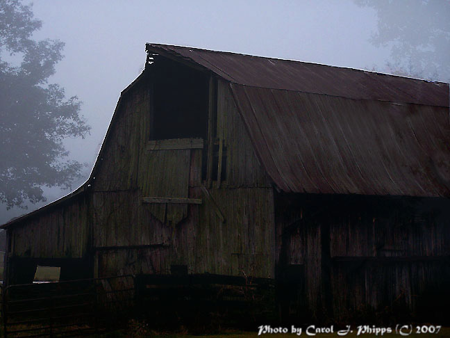 Weathering Winter.