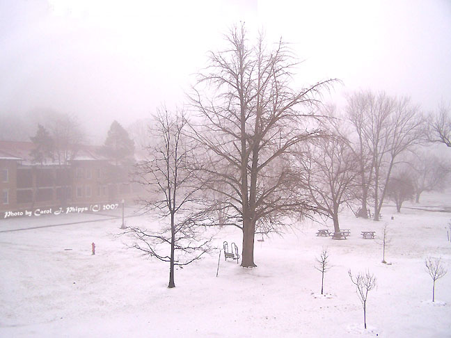 The color of Winter.