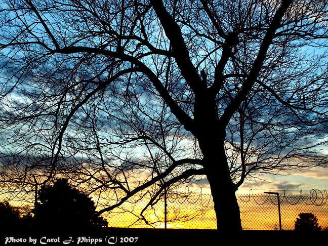 Sunset Over Neighborhood Graveyard!